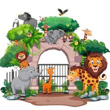 <p>zoo</p>
