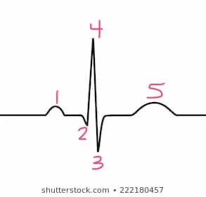 <p>2</p>