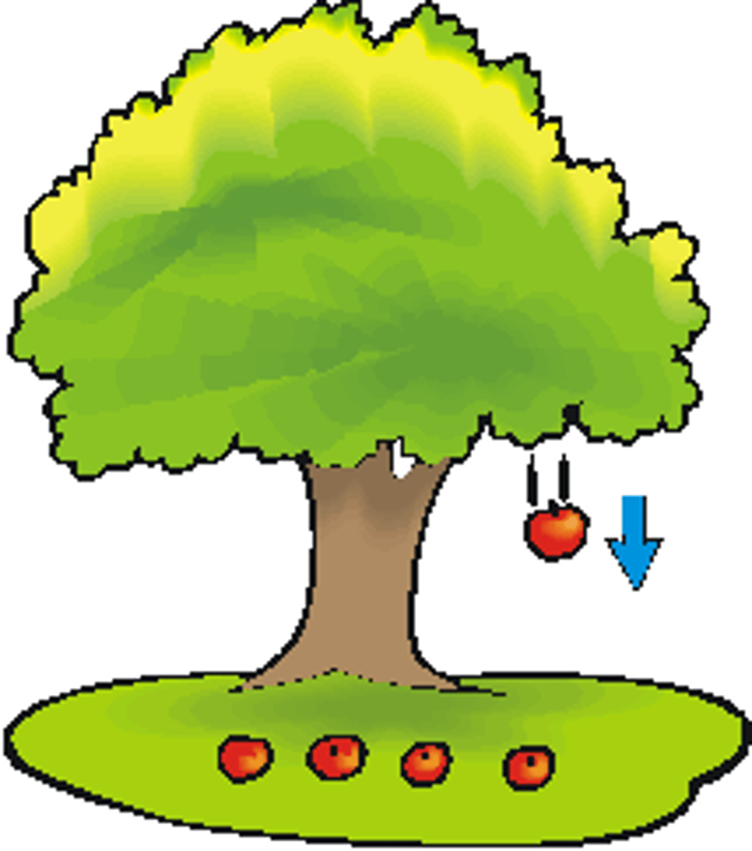 <p>trọng lực, lực hấp dẫn</p>