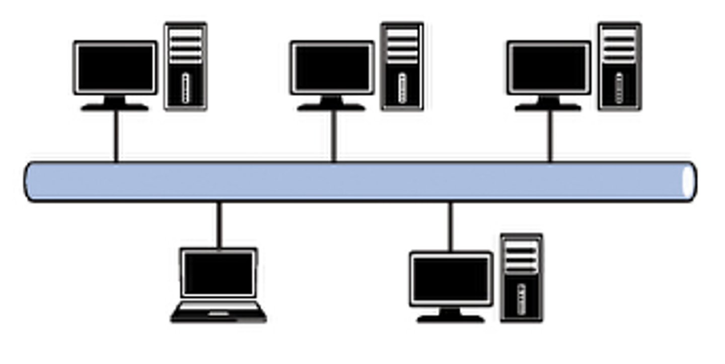 <p>A network layout in which there is one main trunk, or backbone, that all the various computers and network devices are connected to.</p>