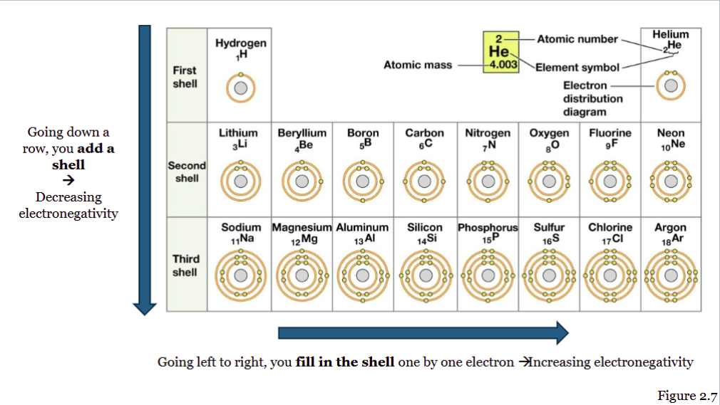 <ul><li><p>Down to up - less shells = electrons are less far from the nucleus</p></li><li><p>Left to right = more electrons are added - atomic radius decreases </p></li></ul><p></p>