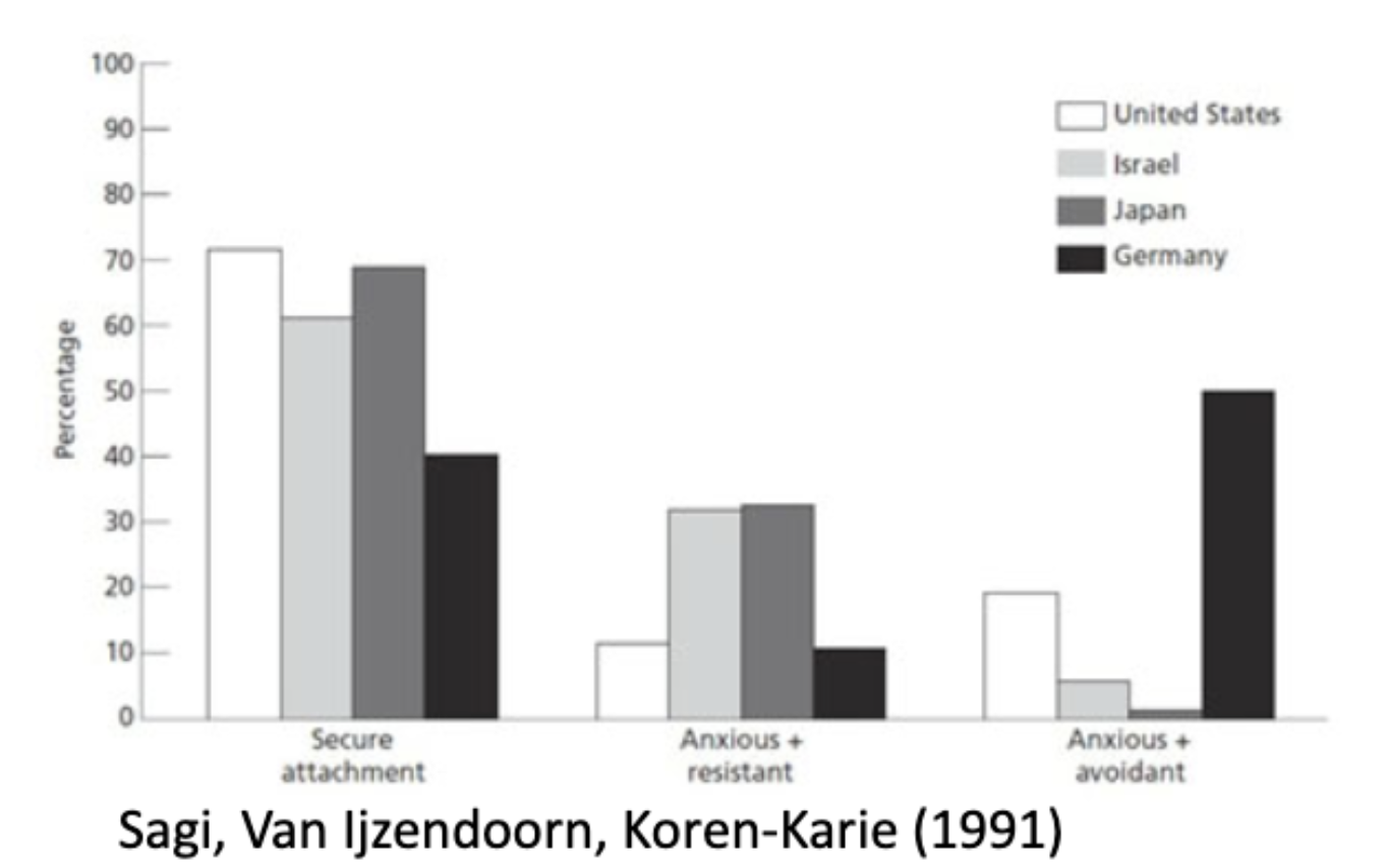 <ul><li><p>similarities in secure attachment are seen cross culturally, but not in the other patterns oof attachment </p></li><li><p>japanese infants behave differently from U.S infants in the strange situations </p></li></ul><p></p>
