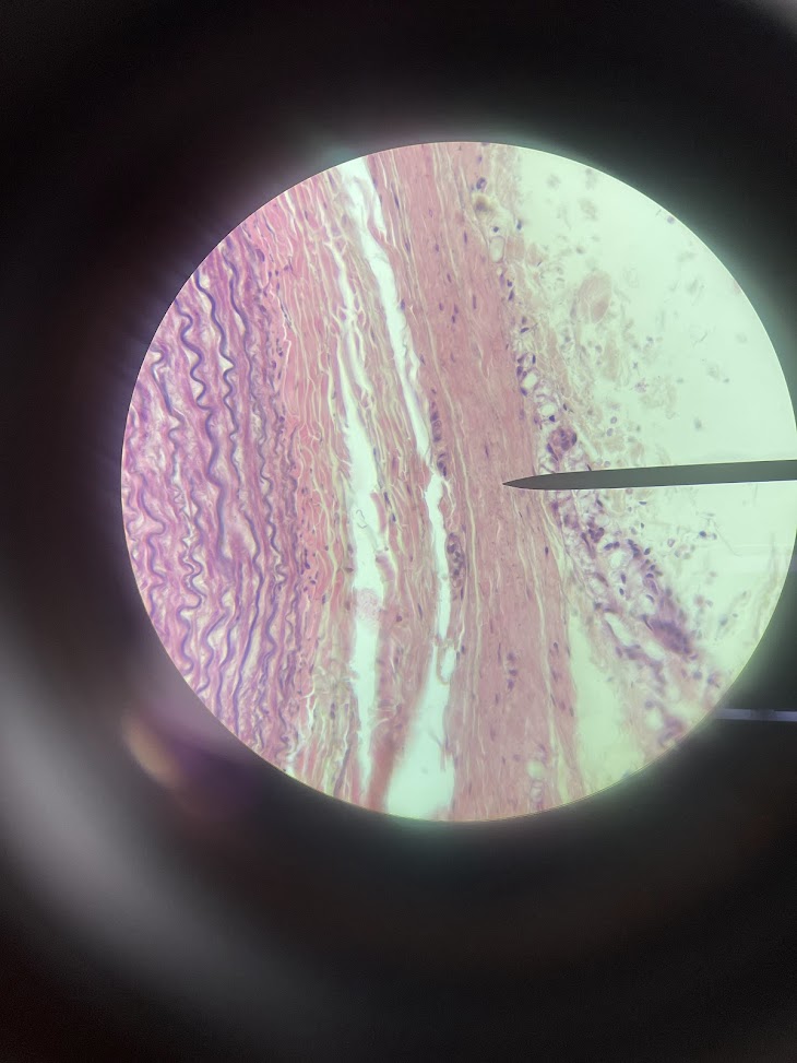 <p>structure name + layer name</p>