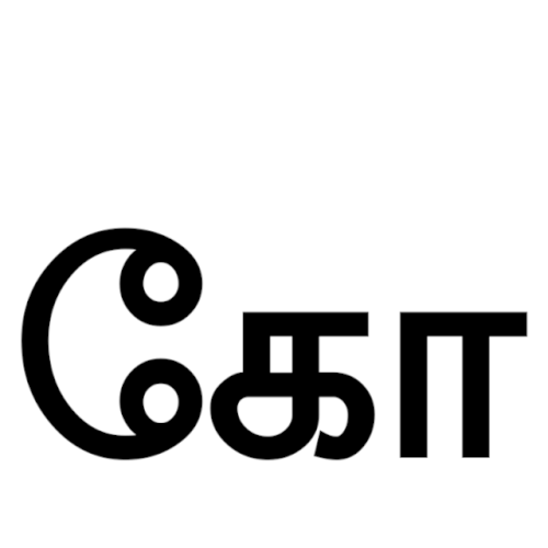 term image