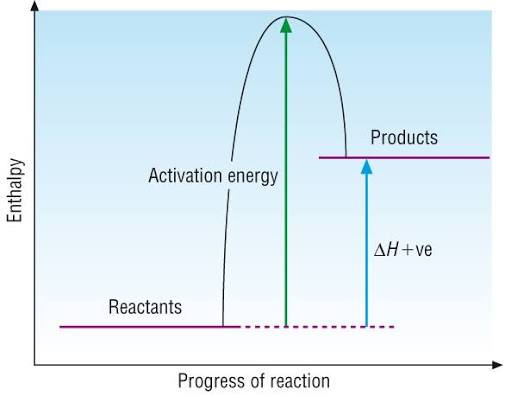 <p>→ Energy of reactants < Energy of products</p><p>→ Enthalpy change arrow pointing up</p><p>→ Activation energy arrow pointing up</p><p>→ Reactant line goes horizontally through</p>