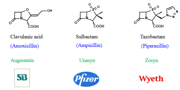 <ul><li><p>They resemble β‑lactam antibiotics closely enough that β‑lactamases bind them over the actual antibiotic.</p></li><li><p>Suicide - clavulanic acid, tazobactam, and sulbactam</p><ul><li><p><span>Inhibitor enters the β‑lactamase active site.</span></p></li><li><p><span>The enzyme hydrolyses it → a covalent intermediate.</span></p></li><li><p><span>Inhibitor irreversibly inactivates the enzyme, destroying its catalytic function, no antibiotic </span>hydrolysis</p></li></ul></li></ul><p></p>