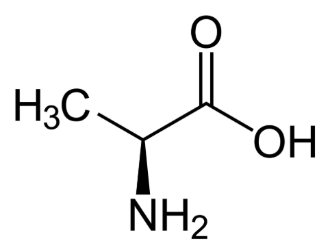 <p>Name this amino acid</p>