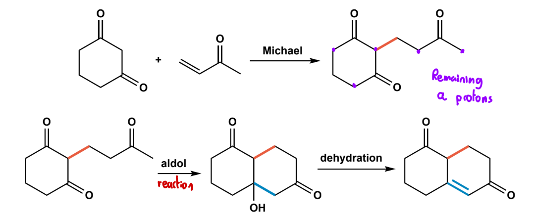<p>michael addition + intramolecular aldol + dehydration to from 2-cyclohexenone.</p>