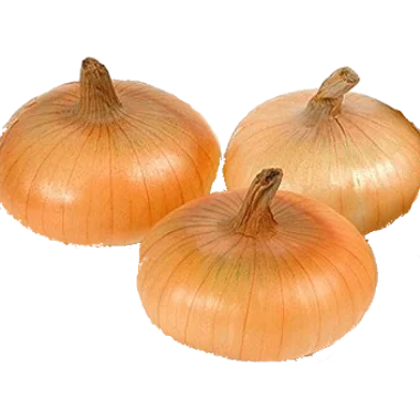 <p>Gold Cippolini Onions</p>