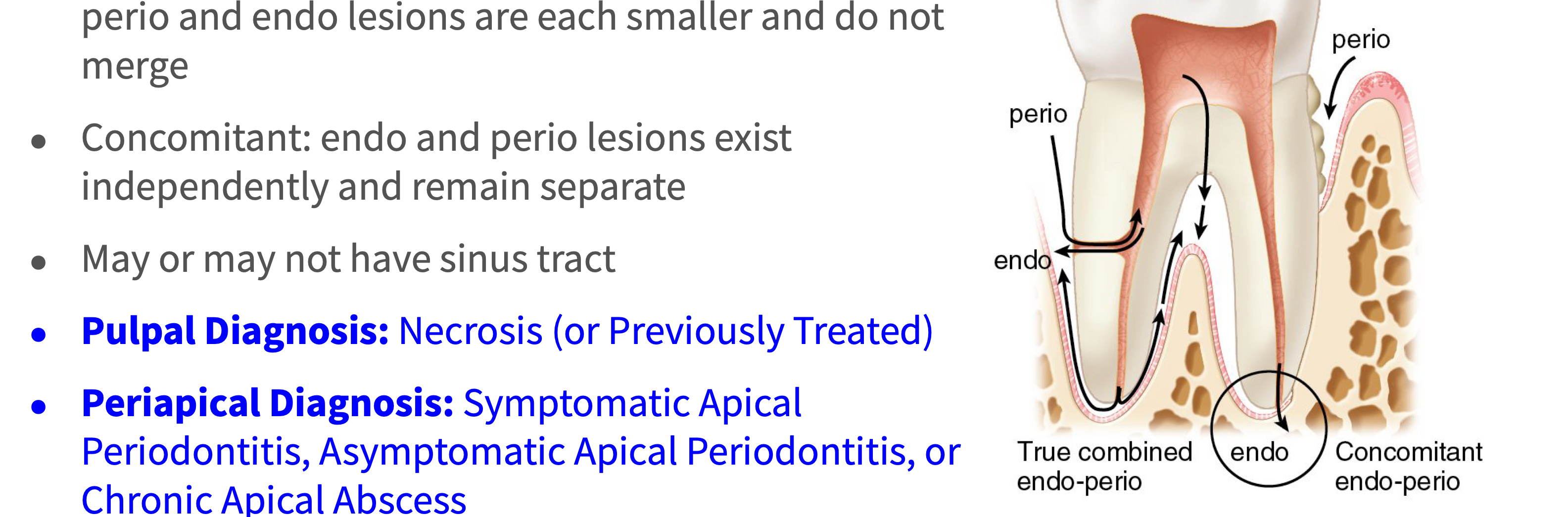 <p>What type of lesion?</p>