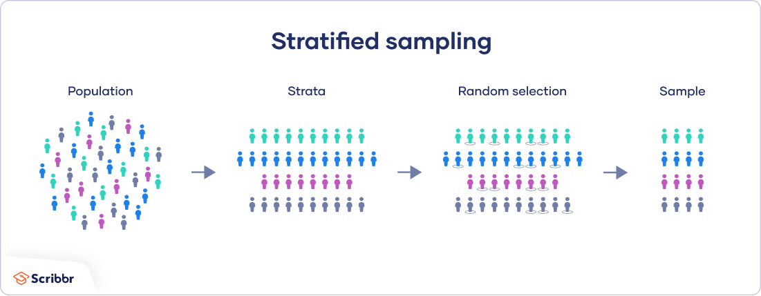 <p>method of sampling where the population is divided into two or more groups according to a similarity, then through simple random sampling from <u>every group</u>, a sample is taken</p><ul><li><p>ex. population is split b/w male, female, & nonbinary → simple random sample each group → sample!</p></li><li><p><strong><u>most representative, but loses randomization & is time/cost consuming due to complexity</u></strong></p></li></ul><p></p>