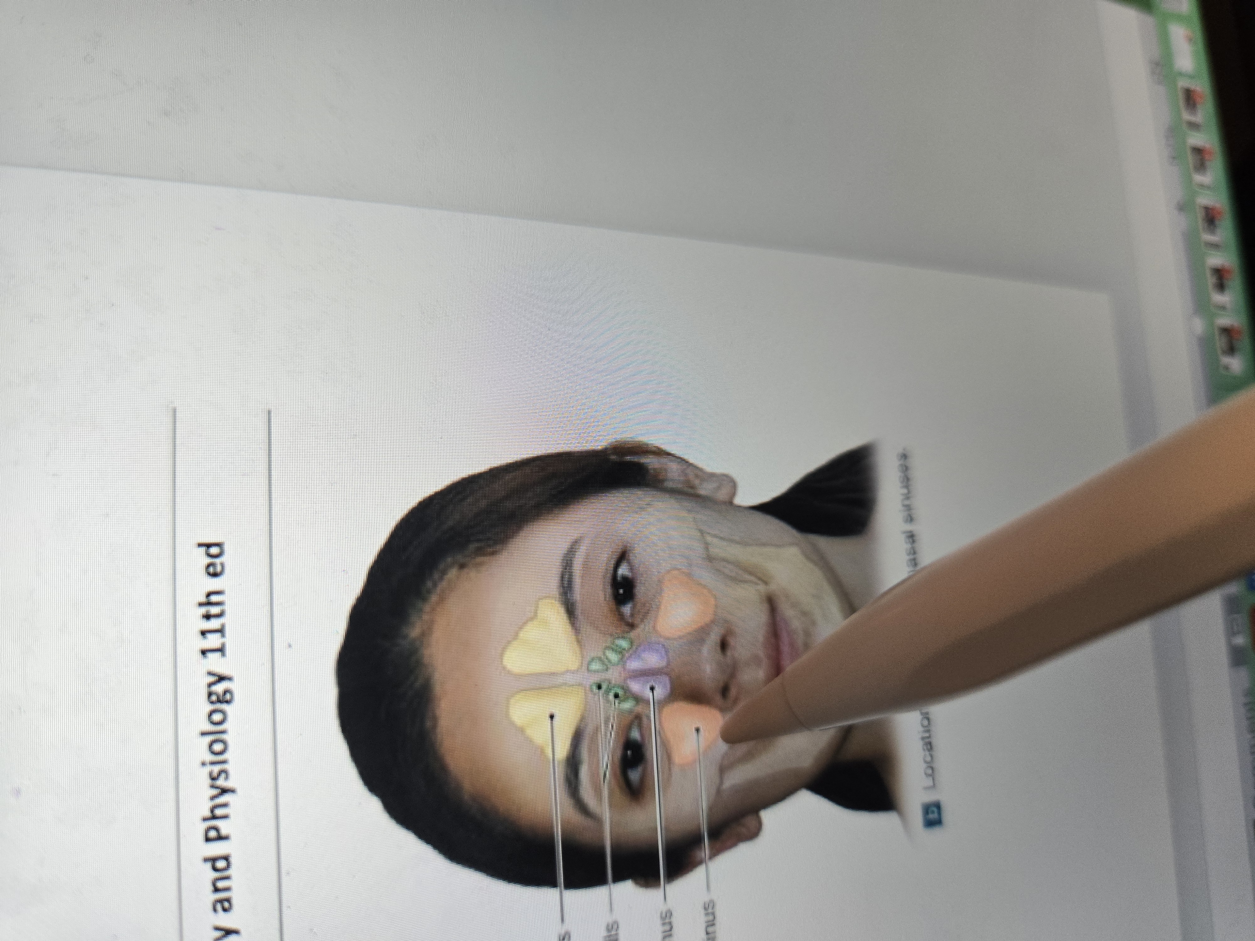 term image
