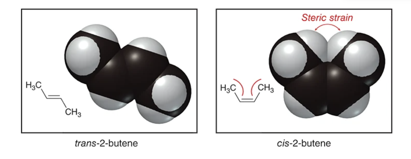 <p>Alkenes are more stable when they are ______ ______</p>