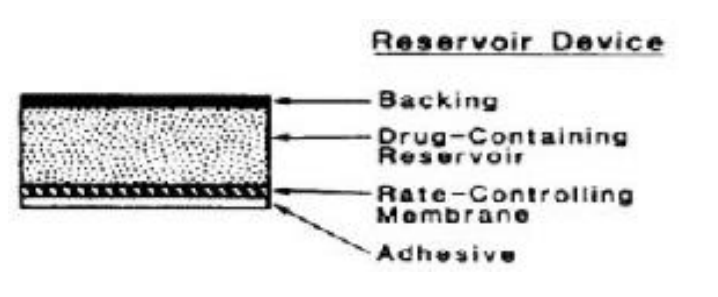 <p>b. Membrane-Controlled Systems</p>