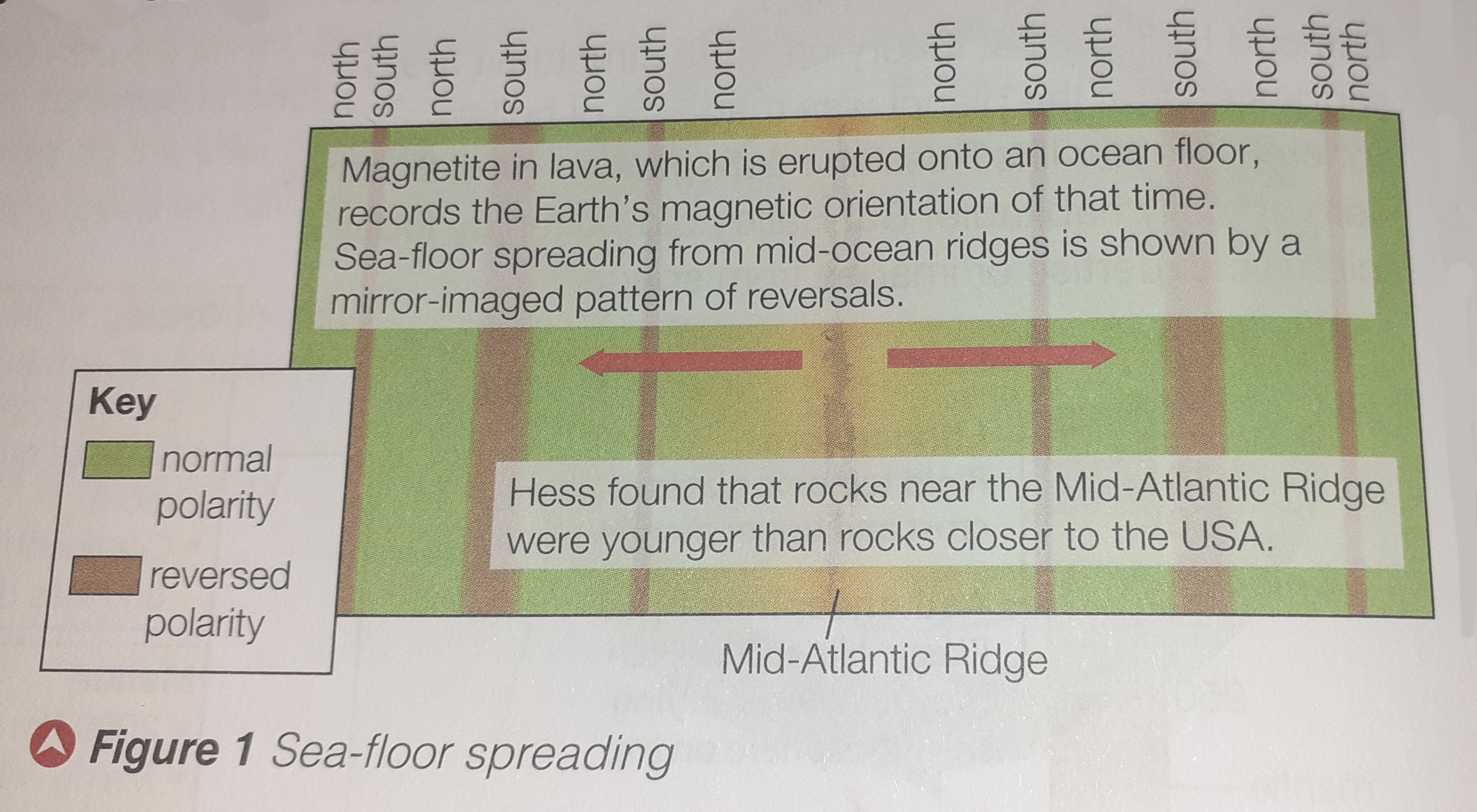 <p>the swapping of magnetic north and south poles every 400,000 years or so</p>
