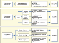 <p>Pathways through which education can affect health</p>