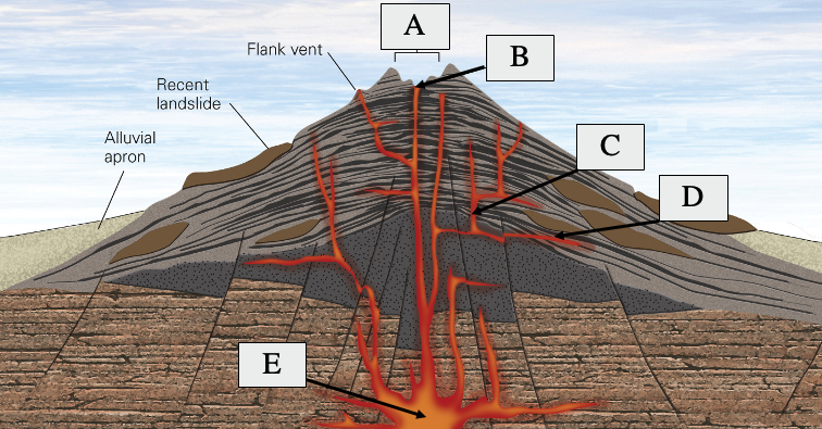 <p><span>Match the letter with the volcanic feature.&nbsp; Not all words will be used.&nbsp;</span></p><p><span>options: crater, pre-volcanic basement, vent, lava flows, dike, tephra, sill, alluvium, magma chamber</span></p>