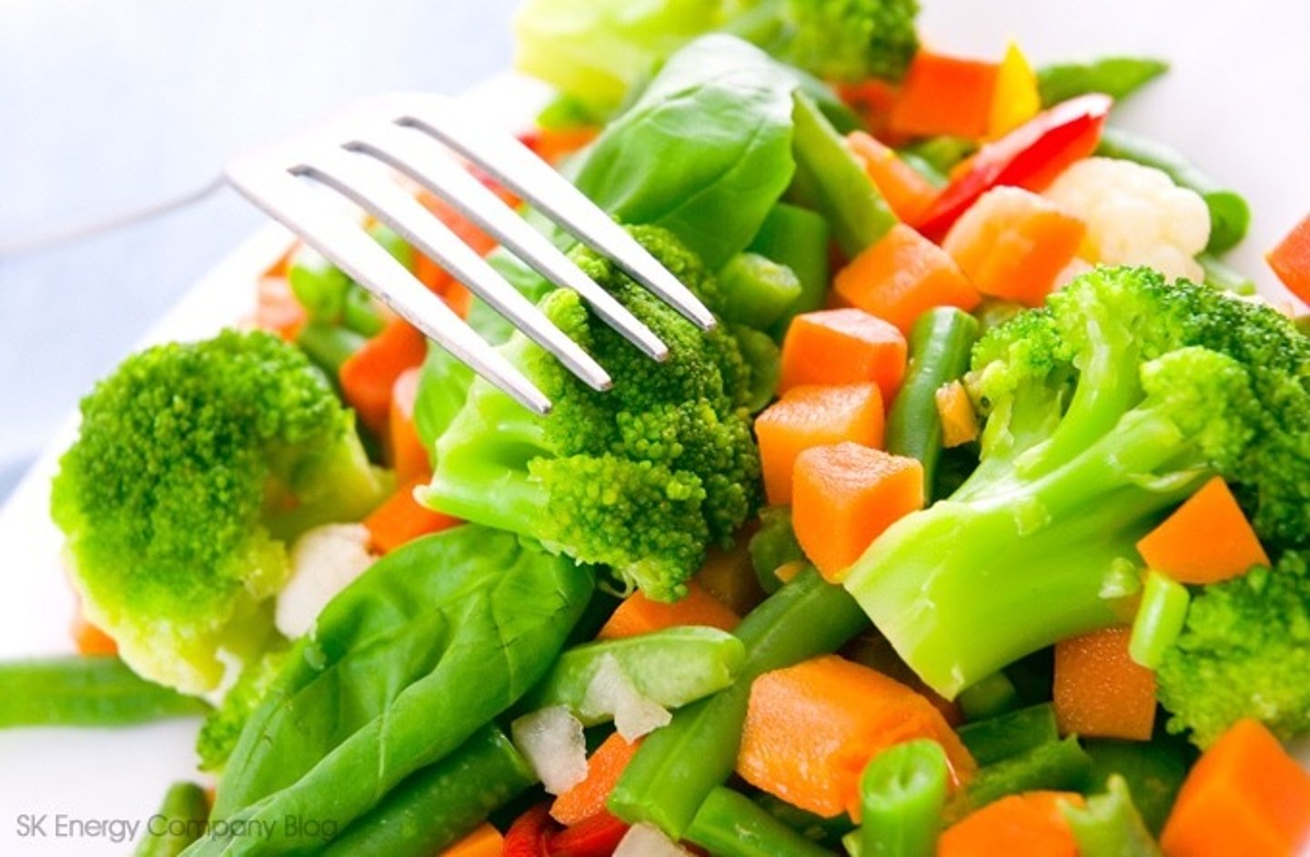 <p>vegetarian diet (vegetable+eat)</p>