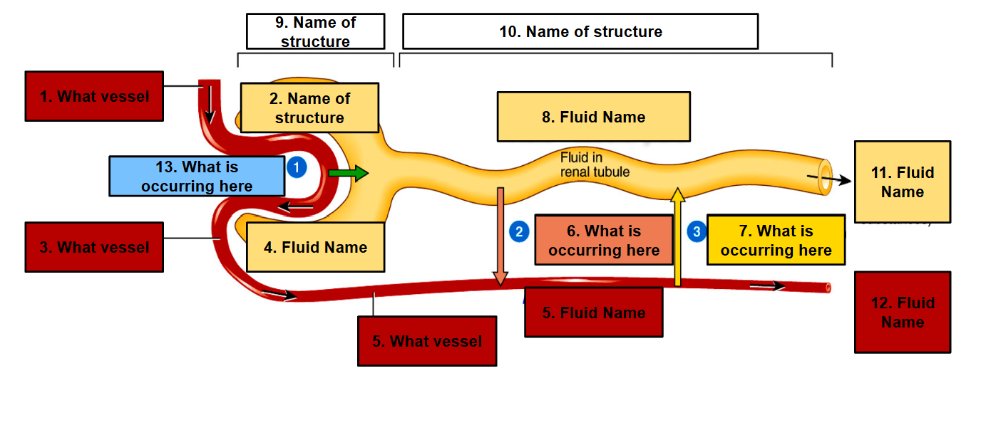 <p>Label this picture </p>