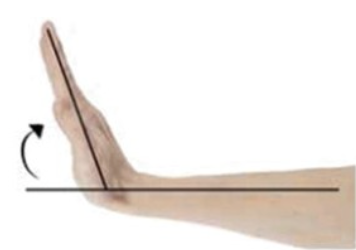 <p>holding a plank</p>
