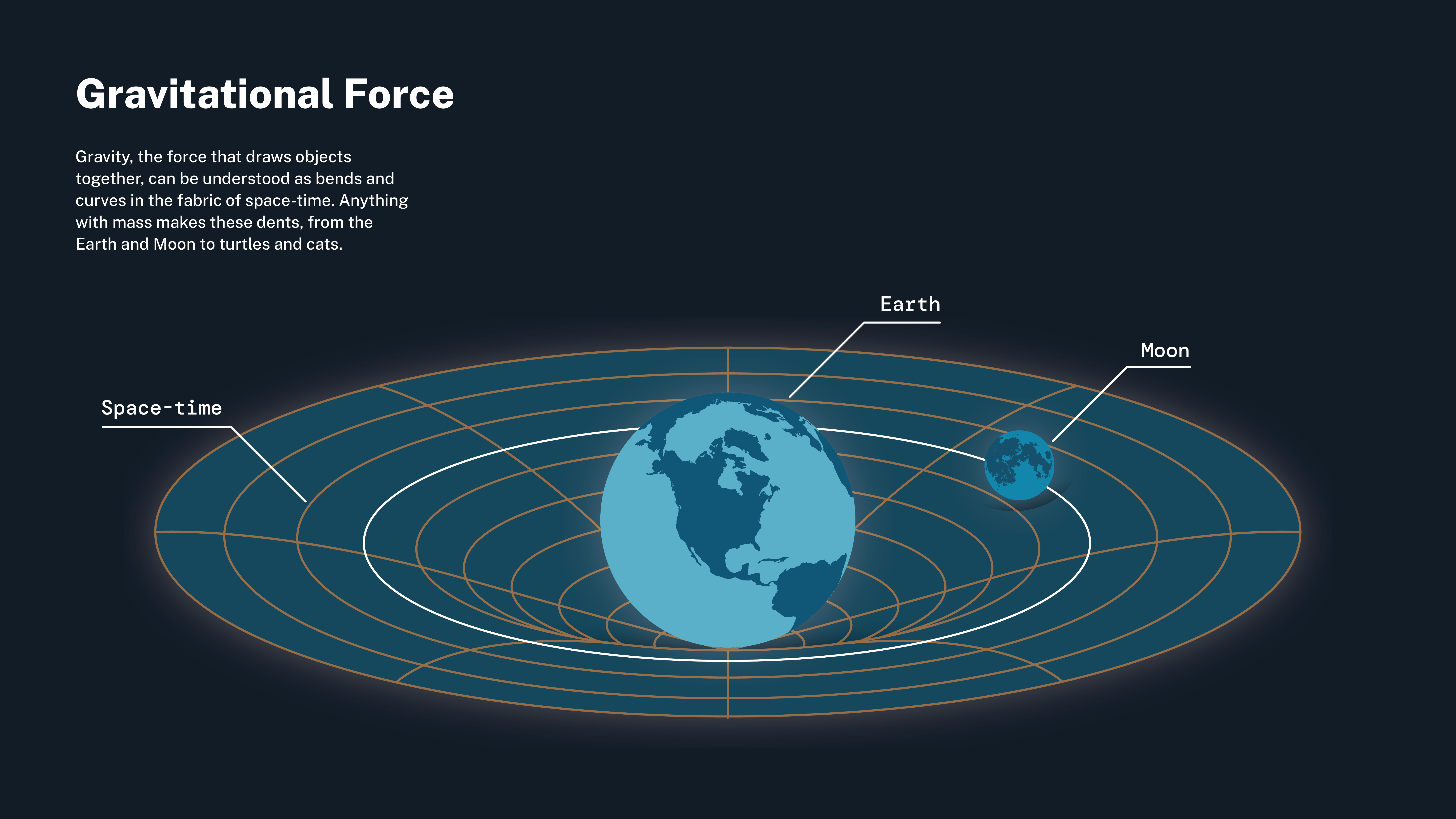 <p>gravitational (adj) /ˌɡrævɪˈteɪʃənl/</p>