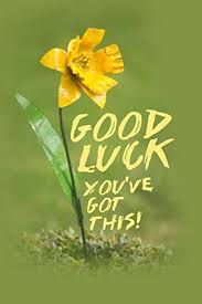 <p><strong>Fortuitous </strong></p>