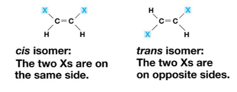 <p>cis-trans isomer</p>