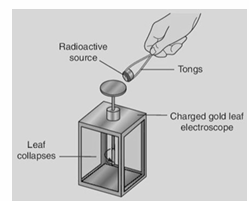 <p>Apparatus – Radioactive source, gold leaf electroscope Procedure – • Charge the electroscope (by induction). The leaf will diverge. • Bring radioactive source close to the cap. Observation– Leaf collapses much faster in the presence of the radioactive material than normal. Conclusion – As charge leaks away through ionised air the electroscope becomes neutralised. The radioactive source is ionising the air.</p>