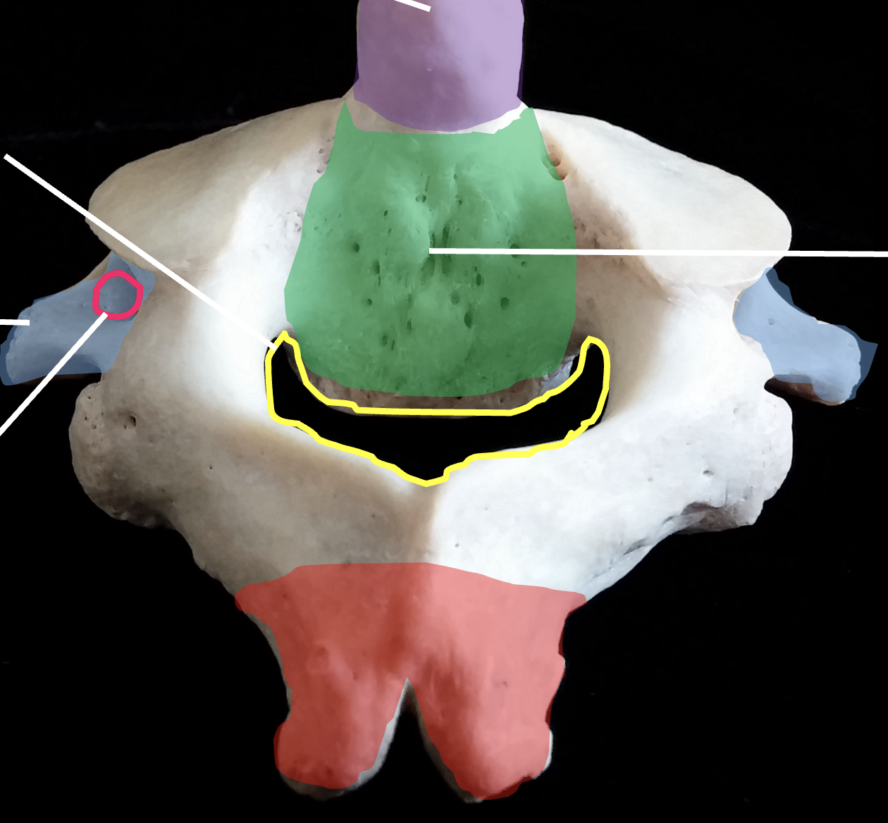 <p>What is the red region highlighted on the C2, axis?</p>