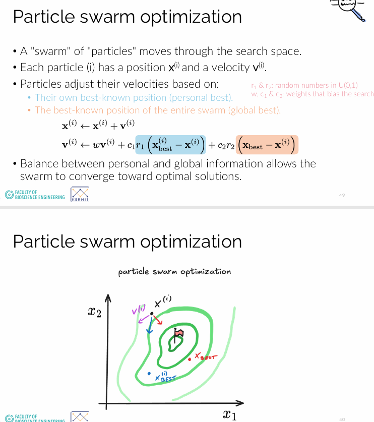 <p>Particle swarm optimization is geïnspireerd door het gedrag van zwermen, zoals vogels of vissen. Elke “particle” stelt een mogelijke oplossing voor en beweegt door de zoekruimte. De beweging wordt beïnvloed door drie termen: de <span style="color: red;">eigen </span>snelheid (inertie), de beste positie die het individu zelf heeft gevonden (cognitieve component) en de beste positie die de groep heeft gevonden (sociale component). Door deze combinatie zoeken de particles gezamenlijk naar een optimum. Dit leidt vaak tot snelle en robuuste optimalisatie. Het is vooral nuttig voor complexe en niet-gladde problemen.</p>