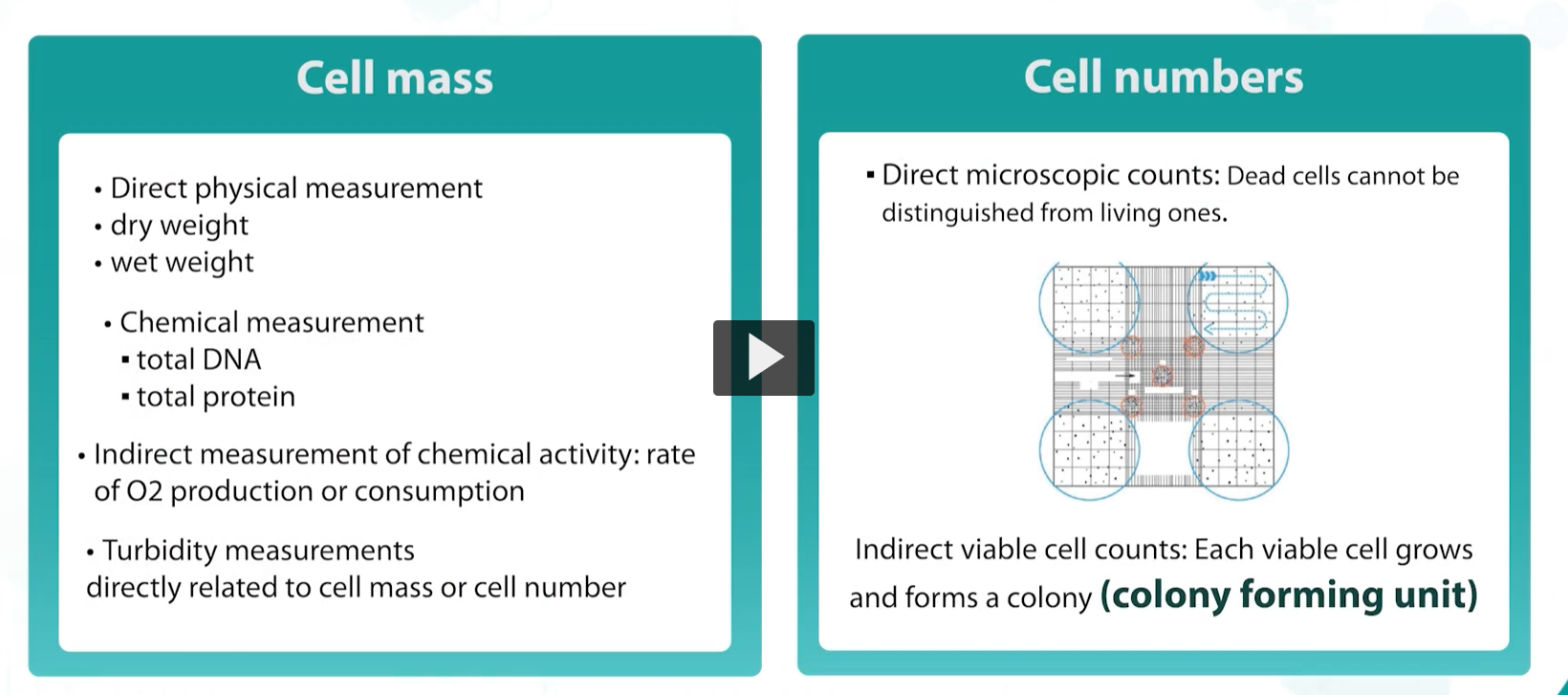 <p>bacterial growth is measured in various ways in the laboratory, physical and chemical measurements can be taken, including cell mass, DNA content, or turbidity OR through direct counting over a microscope using counting chamber or automated subcounters. </p><p>Counting live cells is achievable through <strong>cell plating (viable plate count)</strong>. Only <strong>living cells</strong> are capable of forming a colony, and each visible colony is called a <strong>colony-forming unit (CFU)</strong>.</p><p><strong>Cell mass</strong></p><ul><li><p>Direct physical measurement</p><ul><li><p>dry weight</p></li><li><p>wet weight</p></li></ul></li><li><p>Chemical measurement</p><ul><li><p>total DNA</p></li><li><p>total protein</p></li></ul></li><li><p>Indirect measurement of chemical activity: rate of O2 production or consumption</p></li><li><p>Turbidity measurements directly related to cell mass or cell number</p></li></ul><div data-type="horizontalRule"><hr></div><p><strong>Cell numbers</strong></p><ul><li><p>Direct microscopic counts: Dead cells cannot be distinguished from living ones.</p></li><li><p>Indirect viable cell counts: Each viable cell grows and forms a colony (<strong>colony forming unit</strong>)</p></li></ul><p></p>