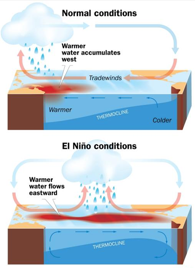 <ul><li><p><strong>El Niño</strong> &amp; <strong>La Niña</strong></p><ul><li><p>△ sea temp, air pressure, air temp → Pacific Ocean </p></li></ul></li><li><p>varies between neutral, el nino, &amp; la nina conditions </p><ul><li><p>△ air pressure, water temp, air temp</p></li></ul></li><li><p>unpredictable, irregular patters every 2-7 yrs</p></li></ul><p></p>