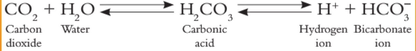 <p>Explain this equation</p>