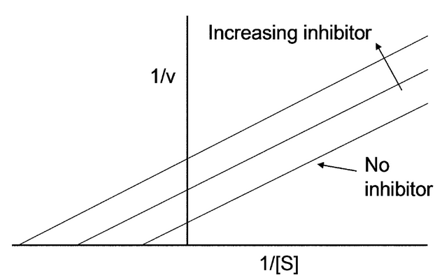 <p>effector binds at the allosteric site and slows down the reaction</p>