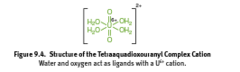 <p>an ion containing a central metal cation bonded to one or more molecules or ions</p>