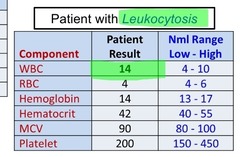 <p>White blood cell count over 11,000, usually due to infection.</p>