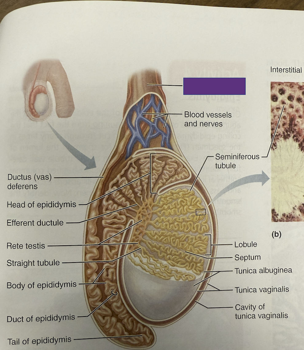 <p>What is this and what is the function </p>