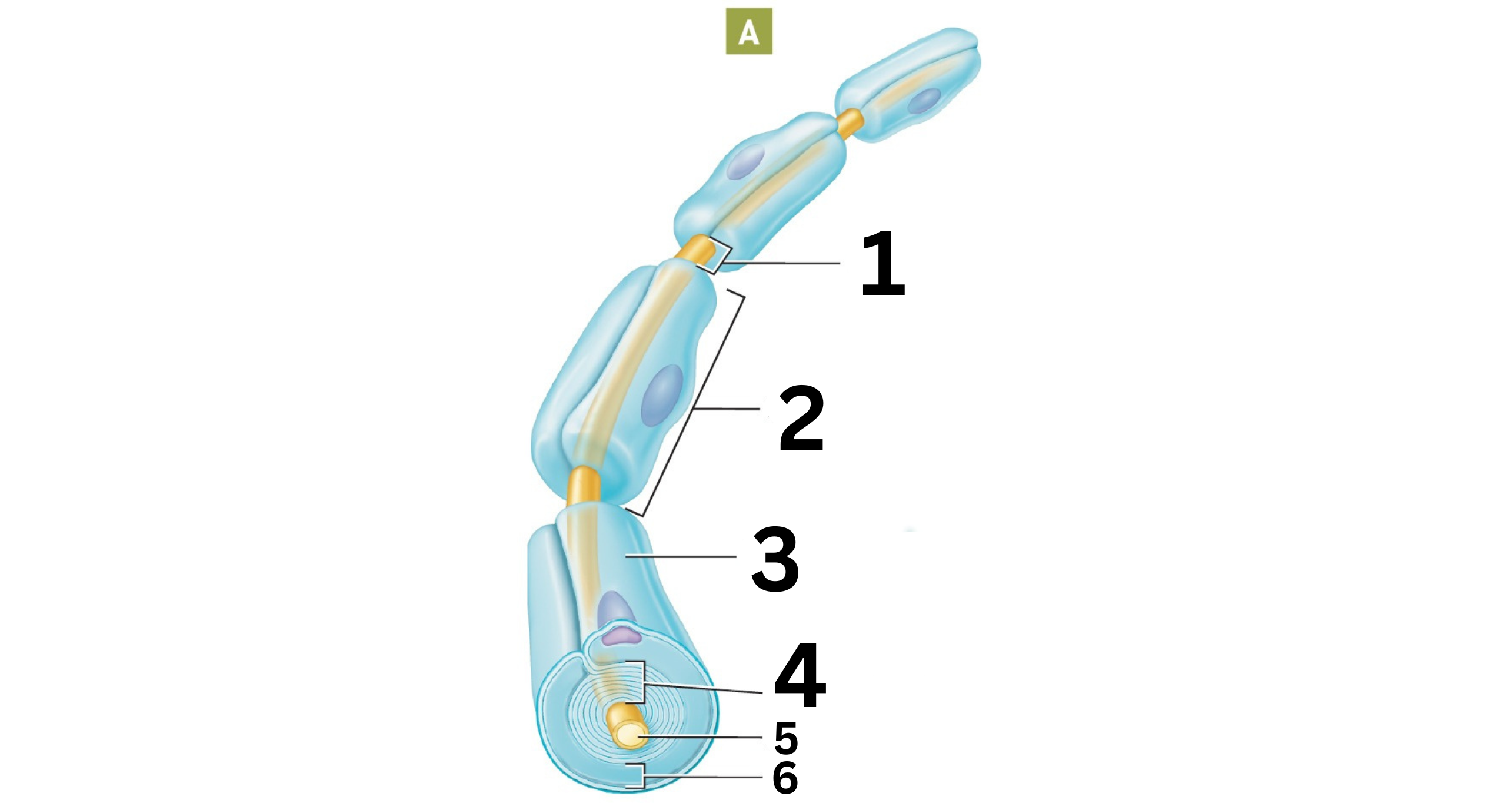 <p>2</p>