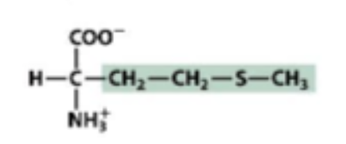 <p>Hydrophobic</p>